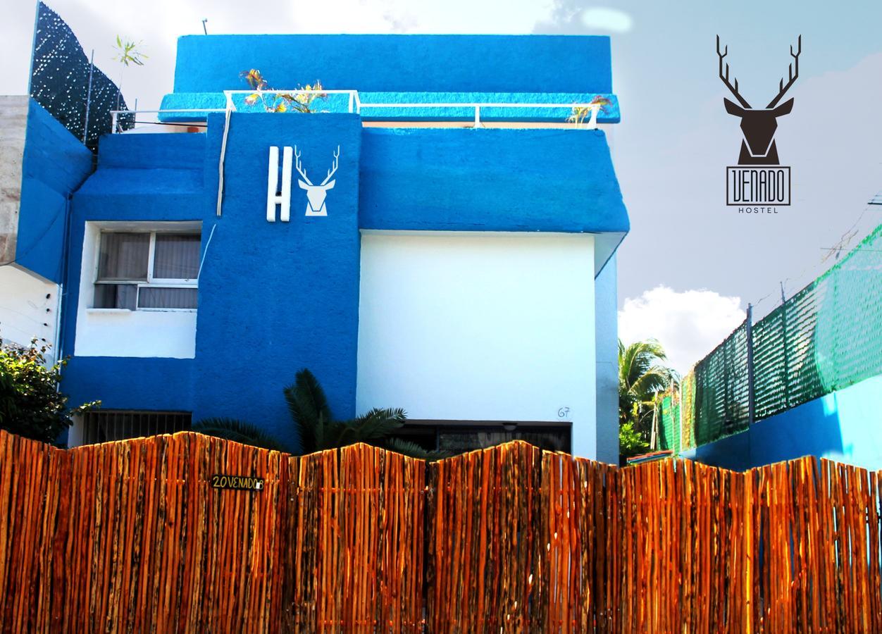 Venado Hostel Канкун Экстерьер фото