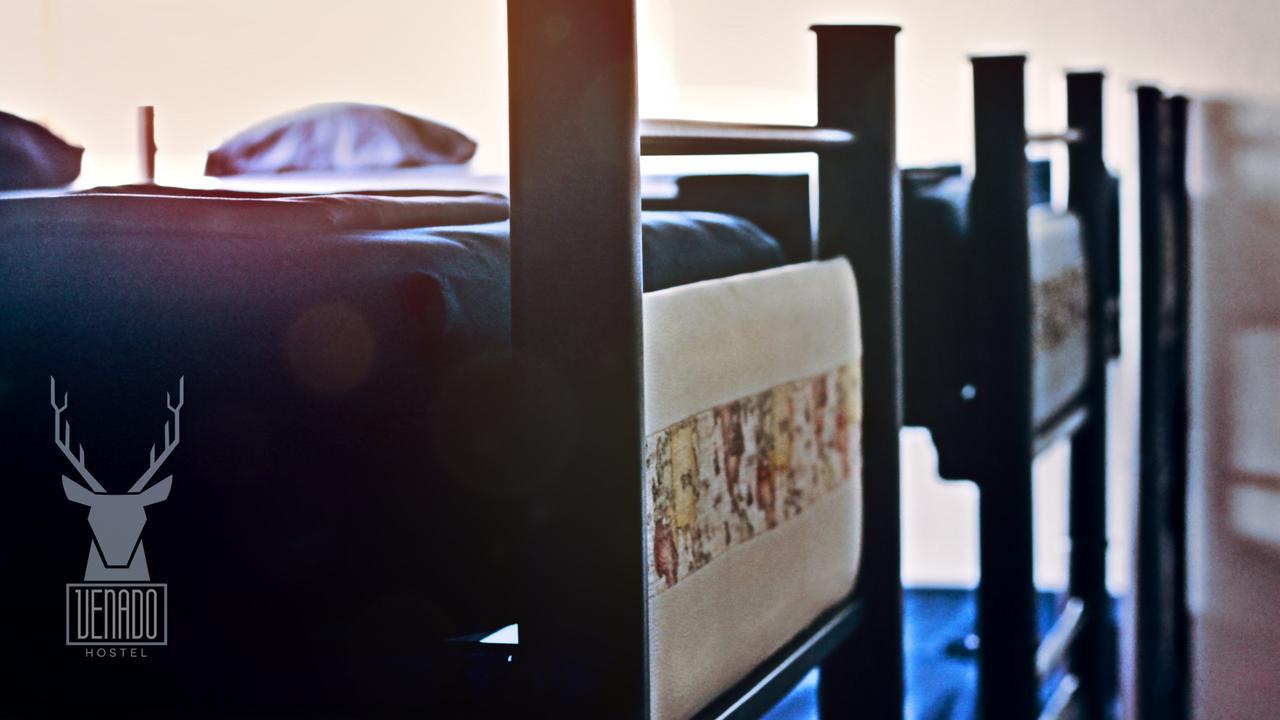 Venado Hostel Канкун Экстерьер фото